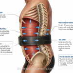 belt-as-surface-brace-diagram